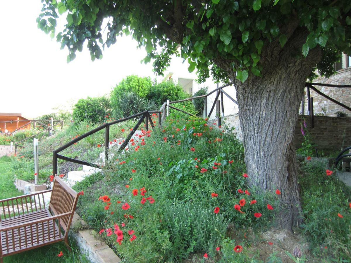 Casa Dei Sogni D'Oro Appartement San Pietro  Buitenkant foto